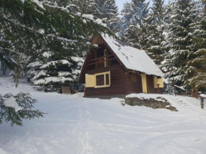 Traditional Liptov Cottage